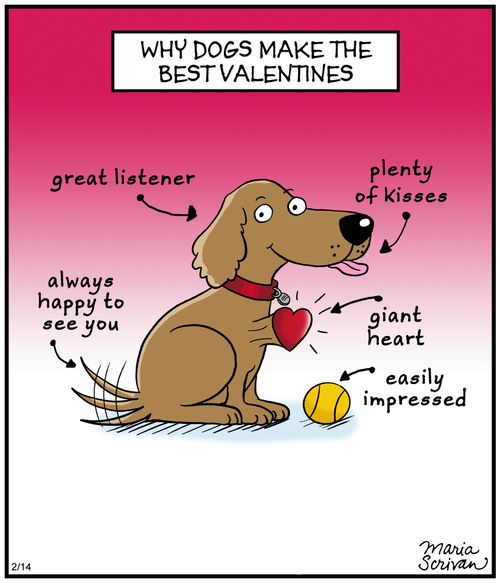 Why dogs make the best Valentines