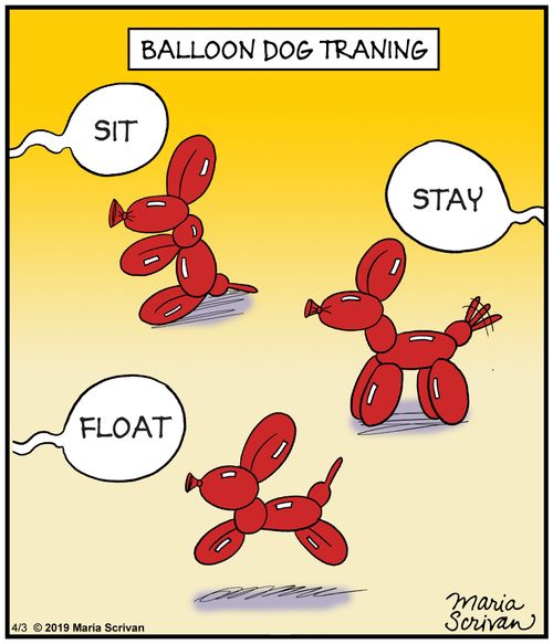 Balloon dog training