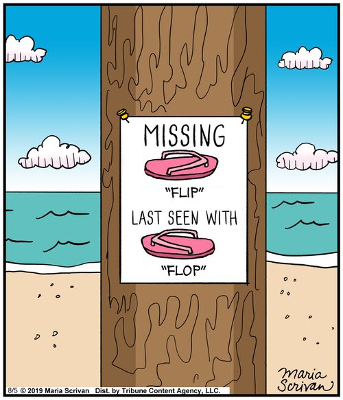 Missing "Flip" last seen with "Flop"