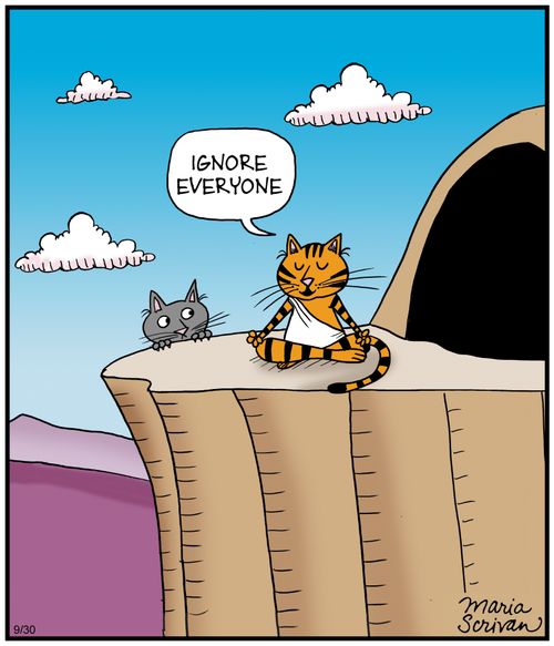 "Ignore everyone."