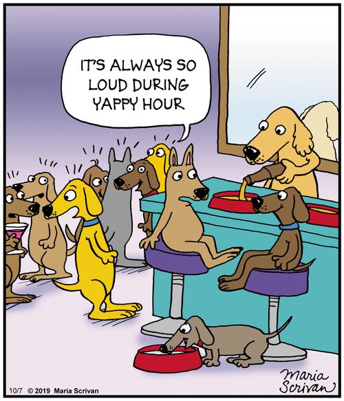 "It's always so loud during yappy hour."