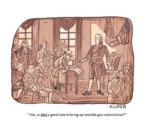 "Um, is this a good time to bring up sensible gun restrictions?"