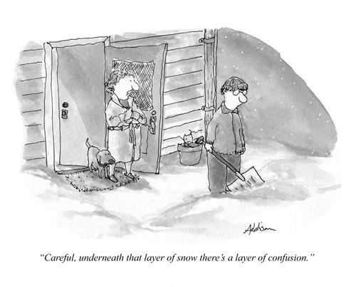 "Careful, underneath that layer of snow there's a layer of confusion."
