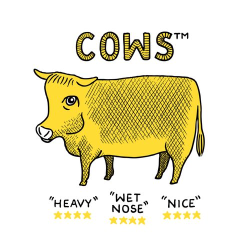Cows TM
