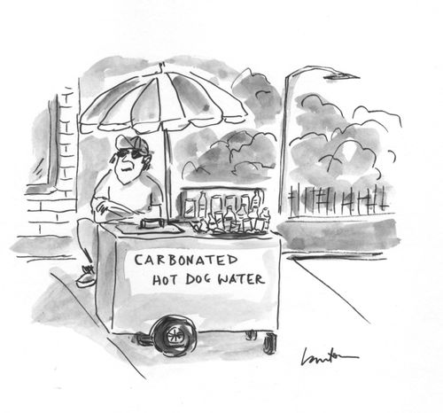 Carbonated hot dog water