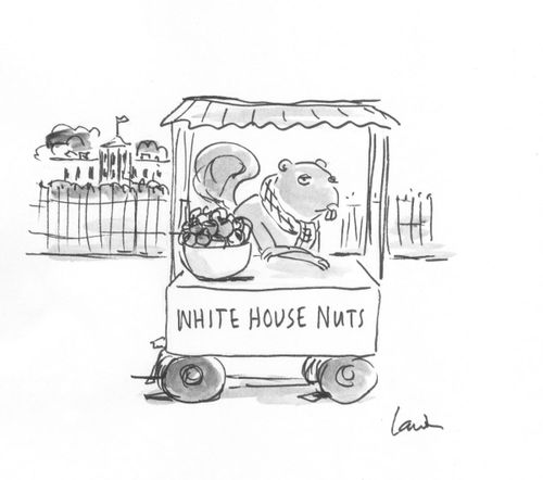 White house nuts