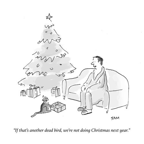 "If that's another dead bird, we're not doing Christmas next year."