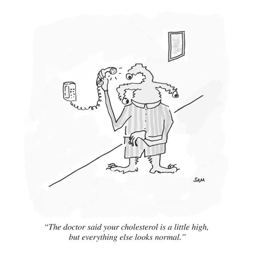 "The doctor said your cholesterol is a little high, but everything else looks normal."