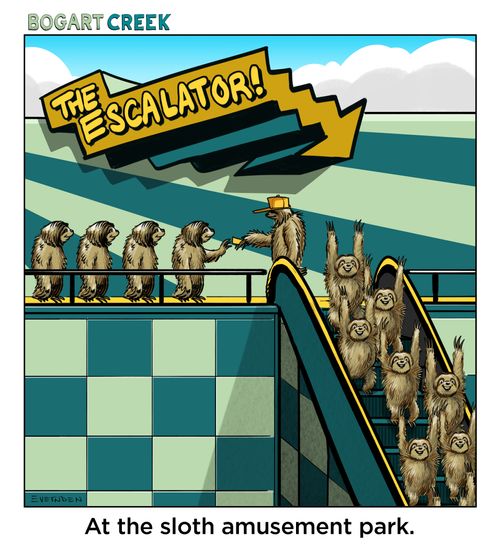At the Sloth Amusement Park