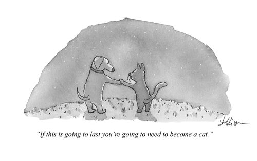 "If this is going to last you're going to need to become a cat."