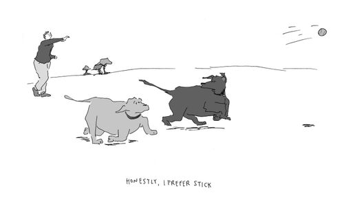"Honestly, I prefer stick."