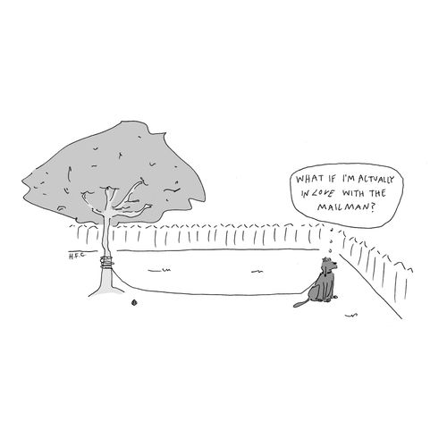 "What if I'm actually in love with the mailman?"