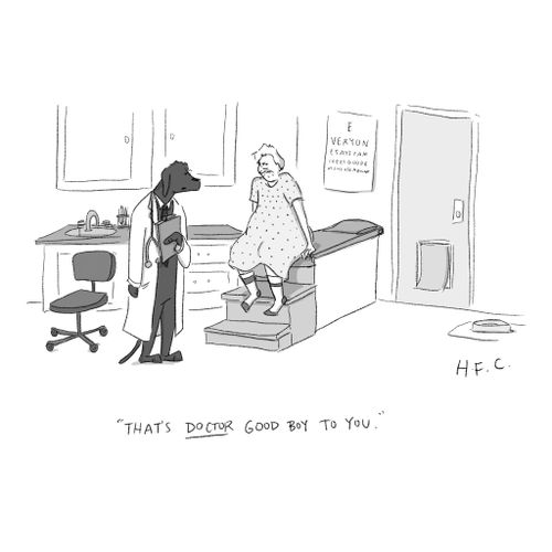 "That's Doctor Good Boy to you."