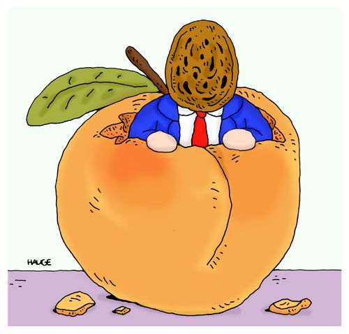 The Stone in the Peach