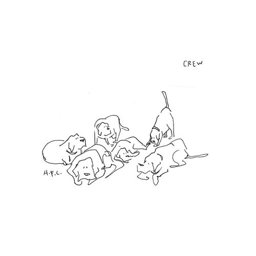 Dogs