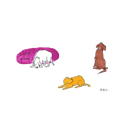 Dogs Sniffing