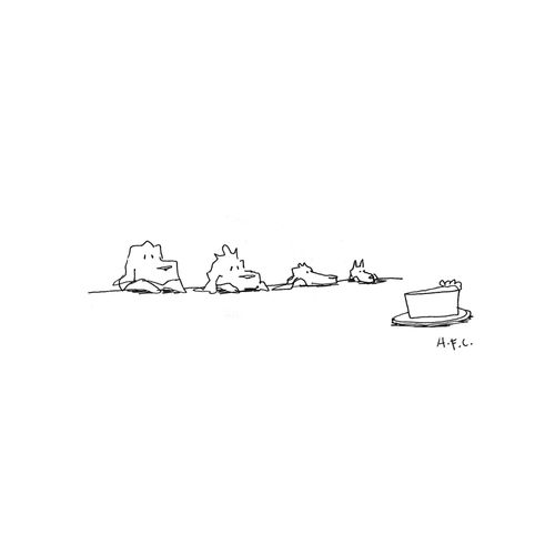 Dogs and Cake