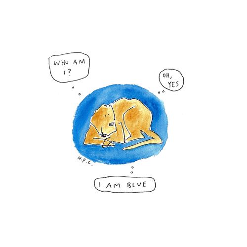 "I am blue."
