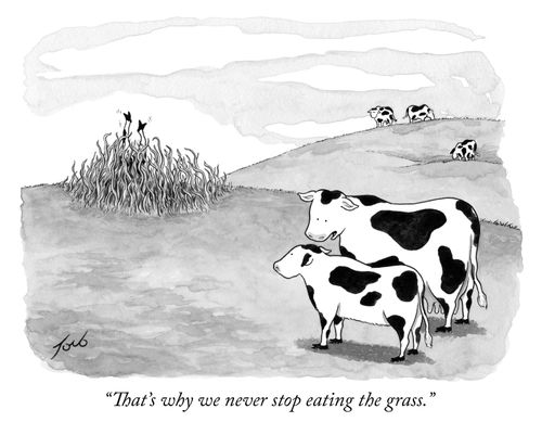 "That's why we never stop eating the grass."