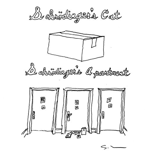 Schrödinger's cat. Schrödinger's apartment