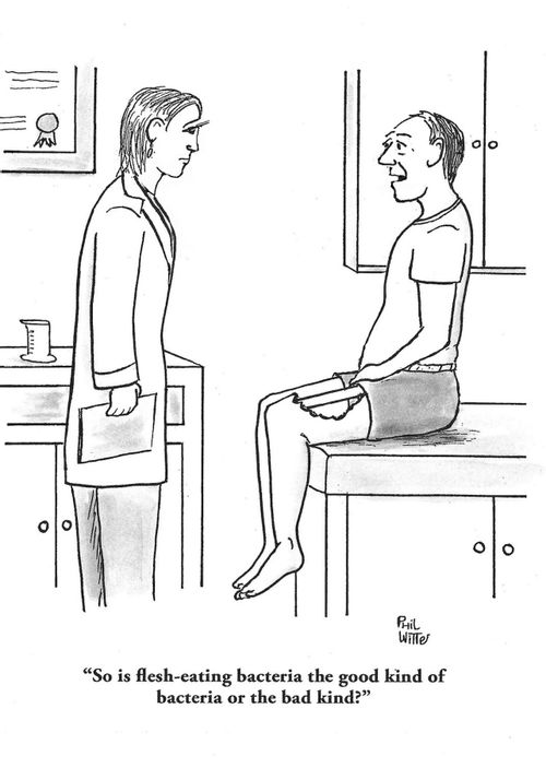"So is flesh-eating bacteria the good kind of bacteria or the bad kind?"