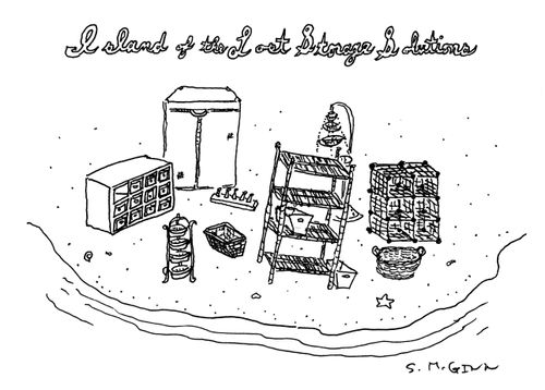 "Island of the Lost Storage Solutions"