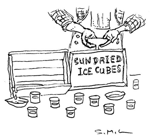 Sun Dried Ice Cubes