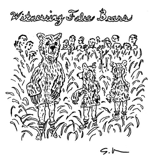 "Witnessing False Bears"