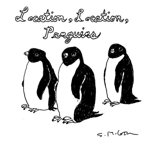 Location, Location, Penguins