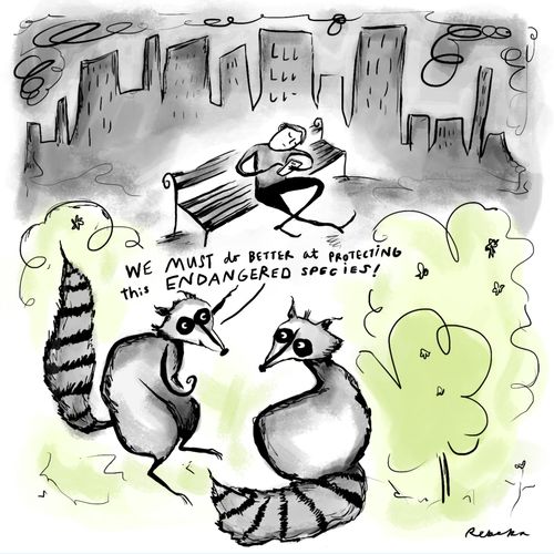 "We must do better at protecting this endangered species."