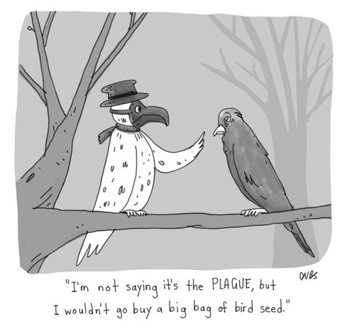 "I'm not saying it's the plague, but I wouldn't go buy a big bag of bird seed."