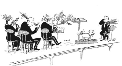 Doggy conductor