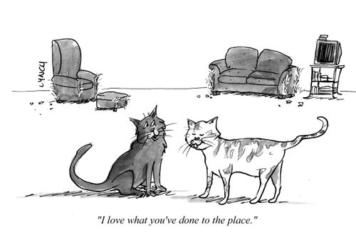 "I love what you've done to the place."