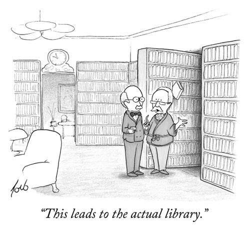 "This leads to the actual library."