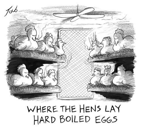 Where the hens lay hard boiled eggs