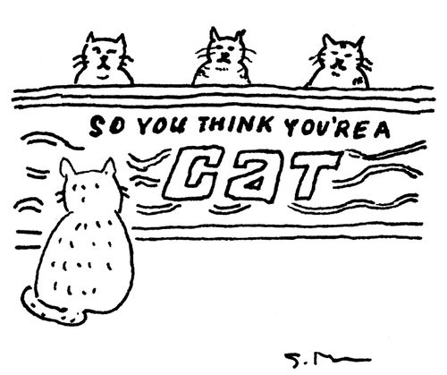 So You Think You're A Cat