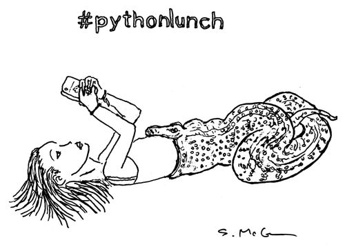 #pythonlunch