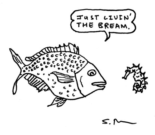 "Just livin' the bream."