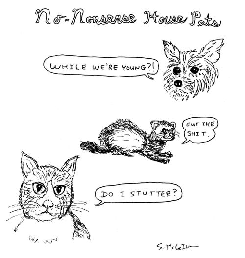 No-Nonsense House Pets