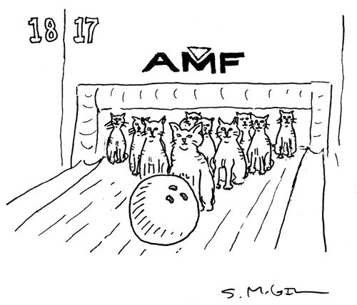 Cat Bowling 