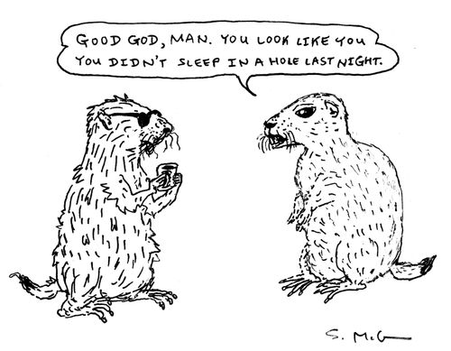 "Good God, man. You look like you didn't sleep in a hole last night."