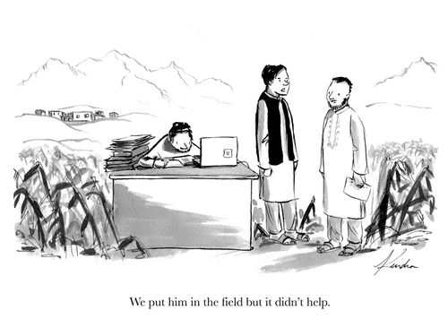 "We put him in the field but it didn't help."