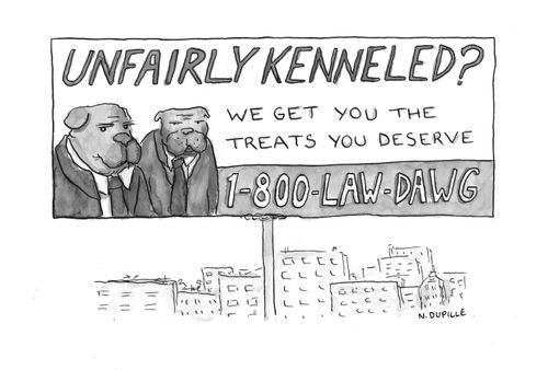 Law Dawgs