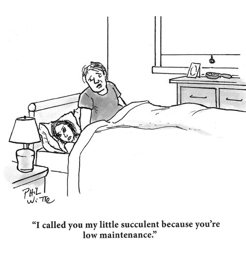 "I called you my little succulent because you're low maintenance."