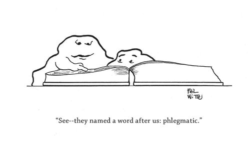 "See – they named a word after us: phlegmatic."