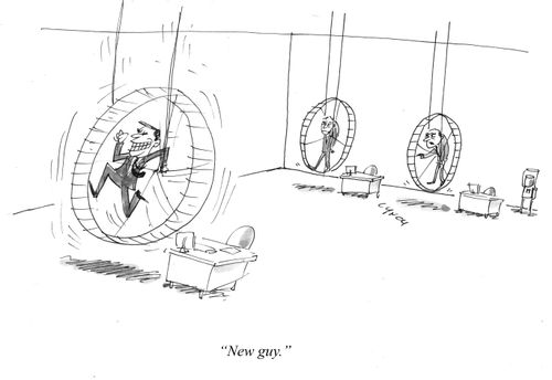 "New guy."