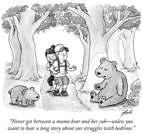 "Never get between a mama bear and her cub – unless you want to hear a long story about our struggles with bedtime."