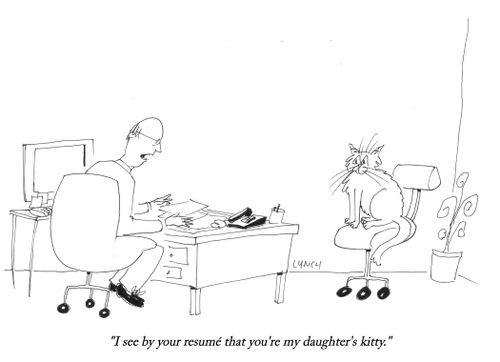 "I see by your resumé that you're my daughter's kitty."
