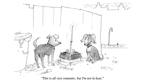 "This is all very romantic, but I'm not in heat."