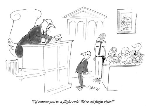 "Of course you're a flight risk! We're all flight risks!"